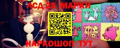 амфетамин Гатчина